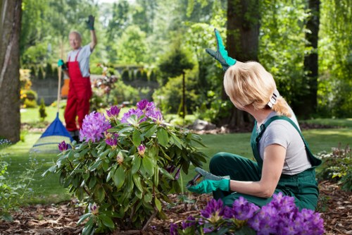 Customer complaint review for gardening services