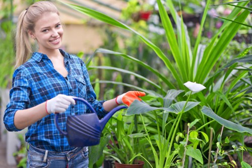 Gardening service terms and conditions introduction