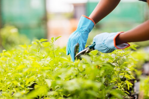 Analytics cookies and performance monitoring for Gardeners Bankside