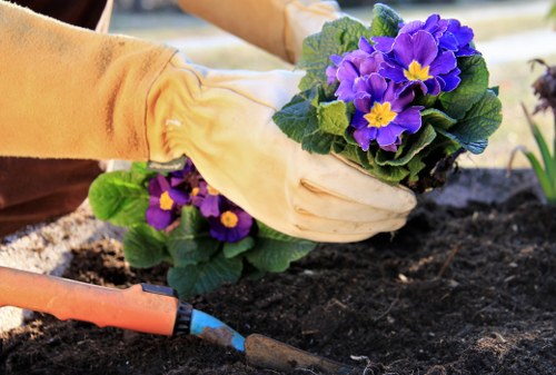 Staff training and safe gardening practices