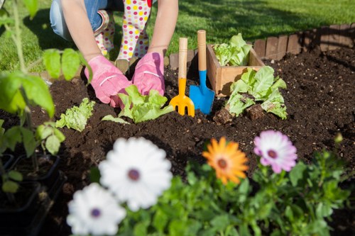 Regular garden maintenance in Bankside improving property appearance
