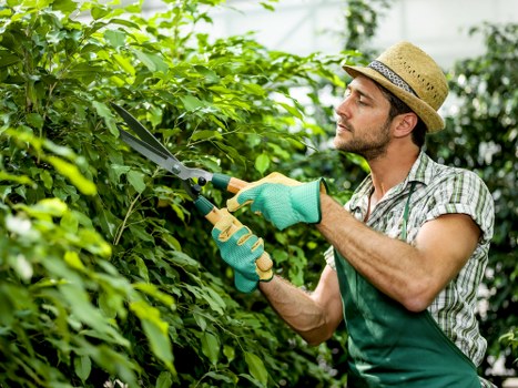 Safe gardening team reviewing tools and site risks