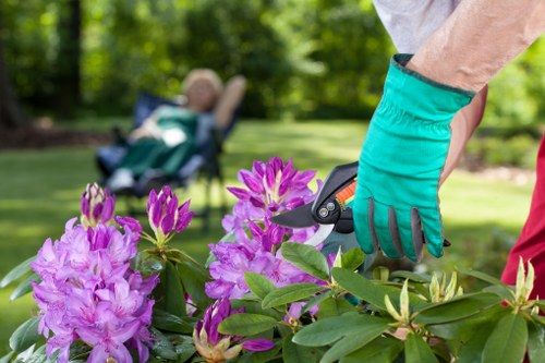 Waste disposal and liability terms for garden work