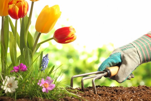 Professional gardener using protective equipment