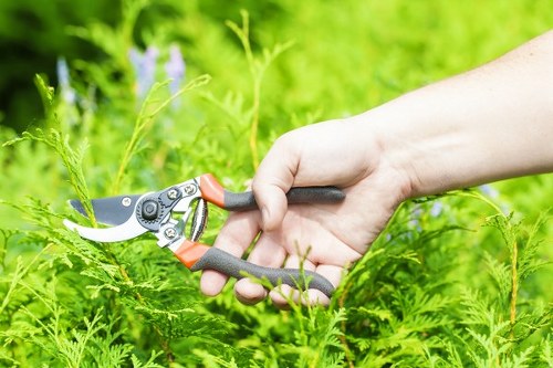 About Us Gardeners Bankside with professional garden maintenance focus