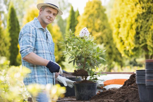 Professional gardening care for a Bankside property