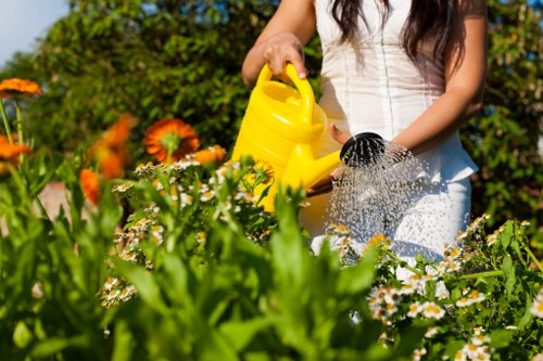 Professional hedge maintenance in Bankside with clean shaping