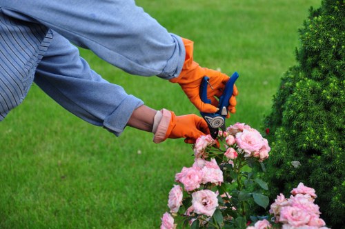 Free quote policy for Gardeners Bankside maintenance and clearance work
