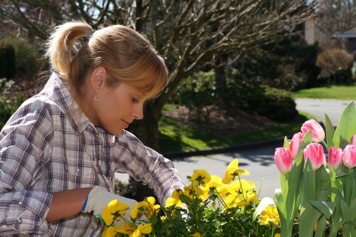 Professional lawn maintenance in Bankside for a tidy green space