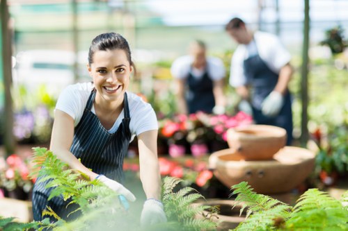 Professional garden clearance in a Bankside property