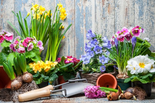 Garden waste removal during Bankside clearance